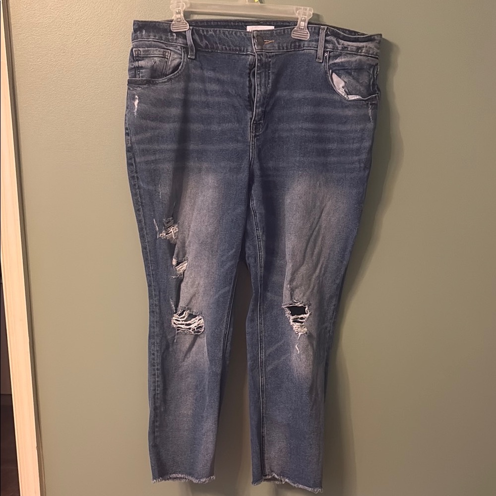Lane Bryant Blue Ankle Cropped Jeans Distressed